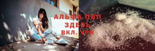 ГАЛЛЮЦИНОГЕННЫЕ ГРИБЫ Козловка