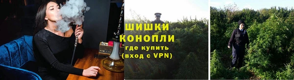 шишки Киренск
