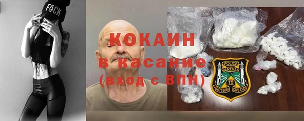 ГАЛЛЮЦИНОГЕННЫЕ ГРИБЫ Козловка