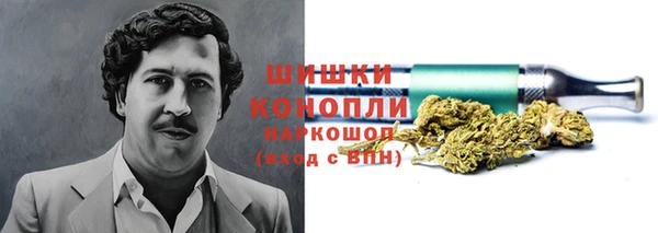 тгк Козельск