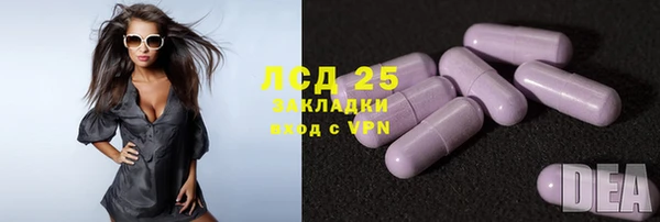 шишки Киренск