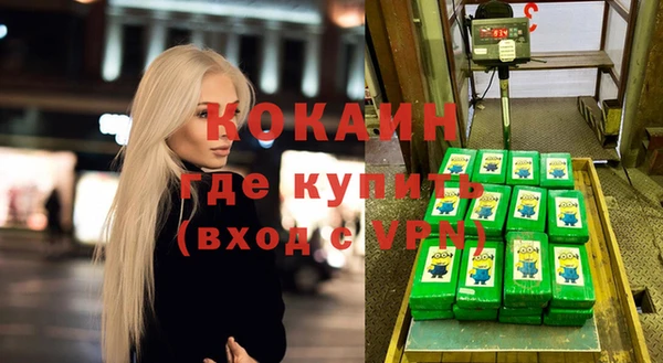 шишки Киренск