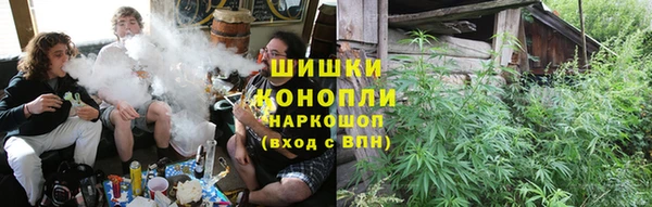 ГАЛЛЮЦИНОГЕННЫЕ ГРИБЫ Козловка