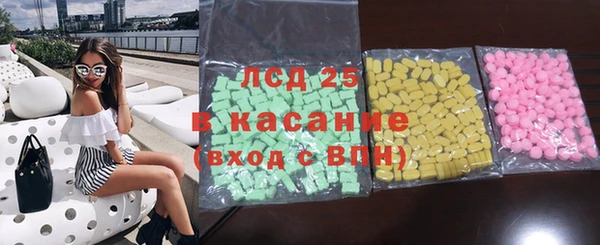 ГАЛЛЮЦИНОГЕННЫЕ ГРИБЫ Козловка
