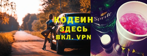 шишки Киренск