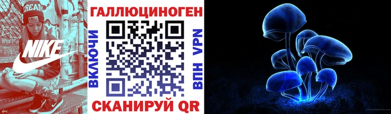 Купить где  Красный Холм  Галлюциногенные грибы MAGIC MUSHROOMS 
